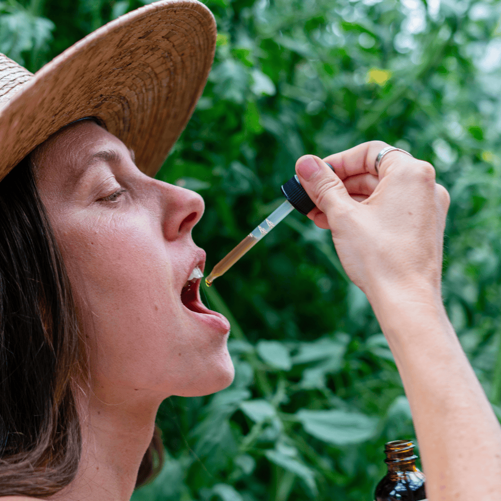 More Milk Plus® - Tincture