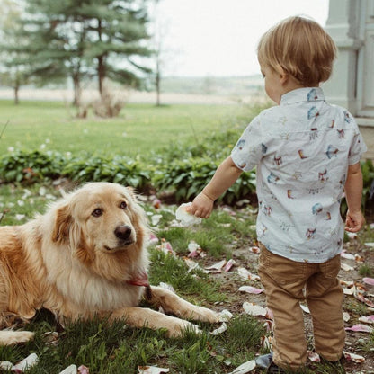 The Local Branch Leather Dog Collar  - USA Made
