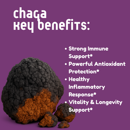 Chaga Mushroom Tincture - My American Goods