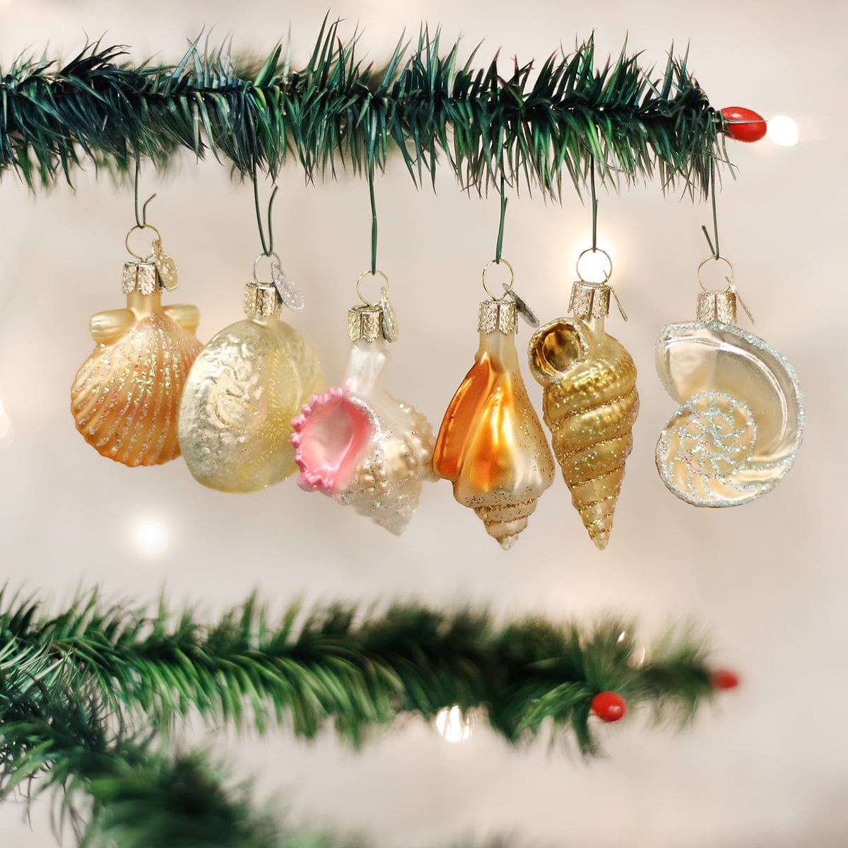 Old World Christmas 2 X 1.5 X 0.5 / 14016 Sea Shell Christmas Ornament Set