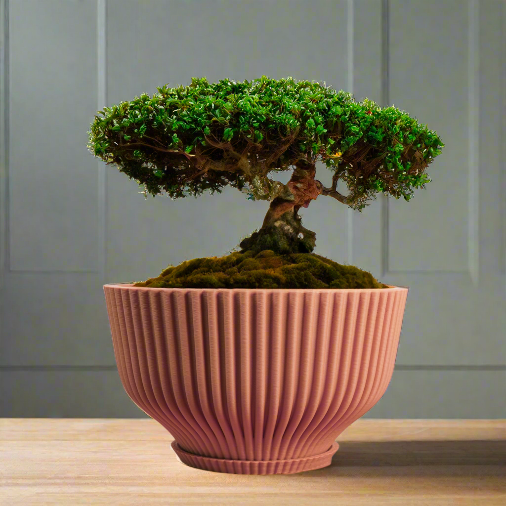 Bonsai Pot with Drainage &amp; Tray - My American Goods