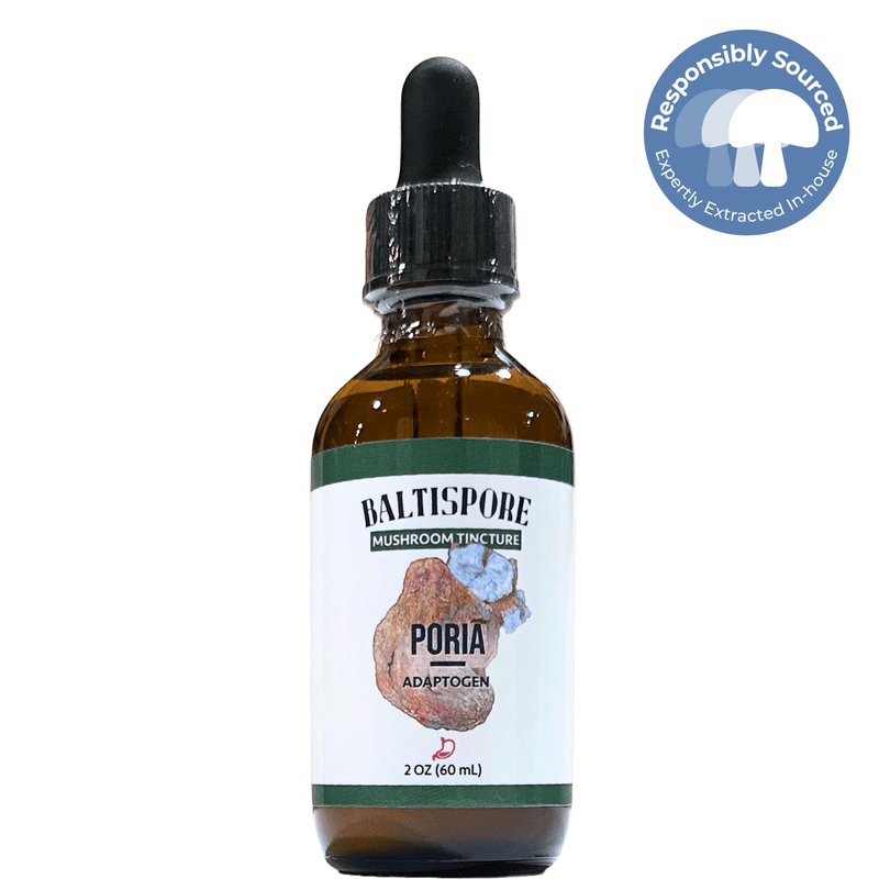 BaltiSpore Tincture Poria Mushroom Tincture