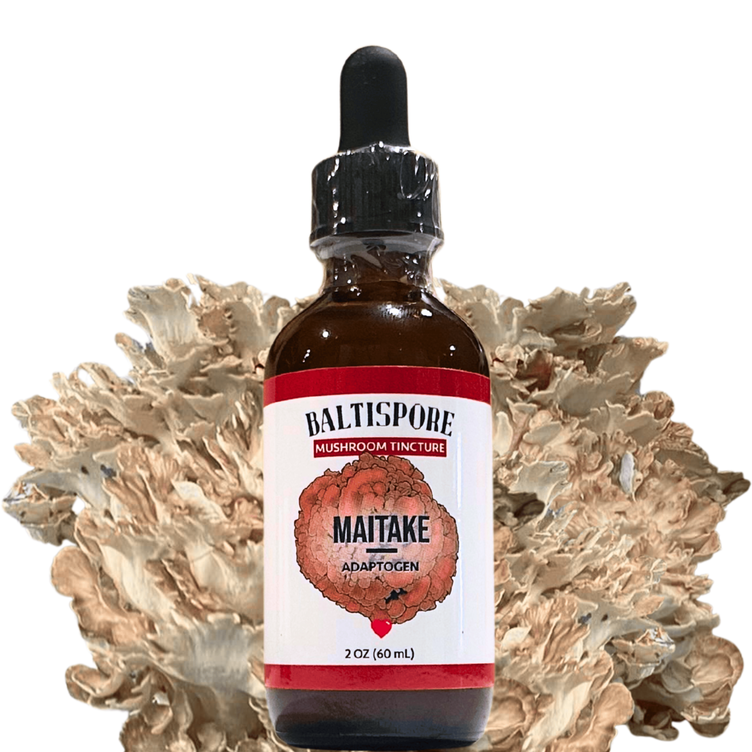 BaltiSpore Tincture Maitake Mushroom Tincture