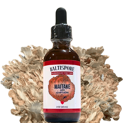 Maitake Mushroom Tincture - My American Goods