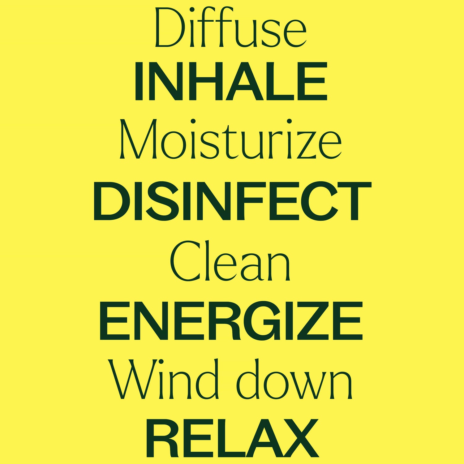 15 &amp; 15 Essential Oil Set with Carrying Case