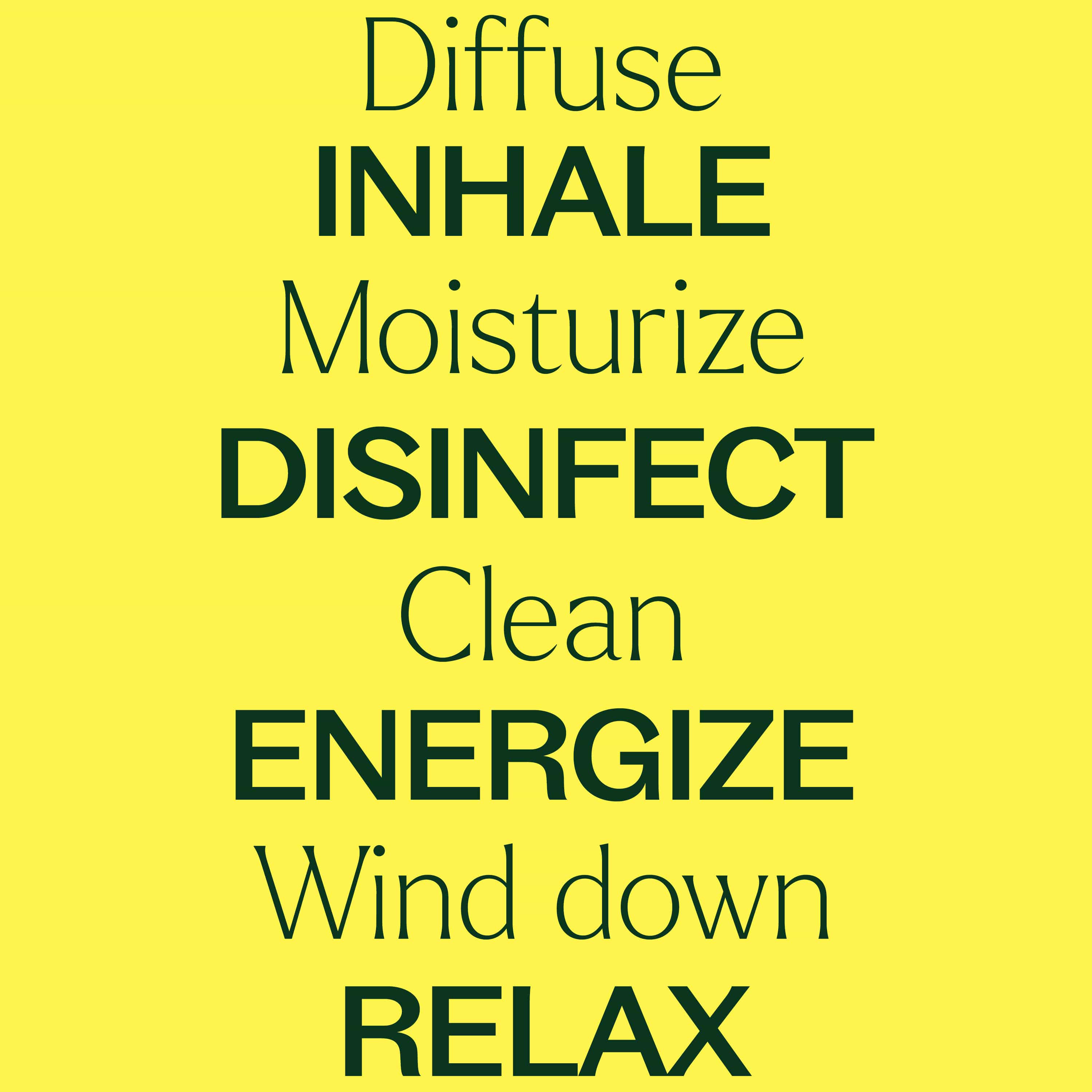 15 &amp; 15 Essential Oil Set with Carrying Case