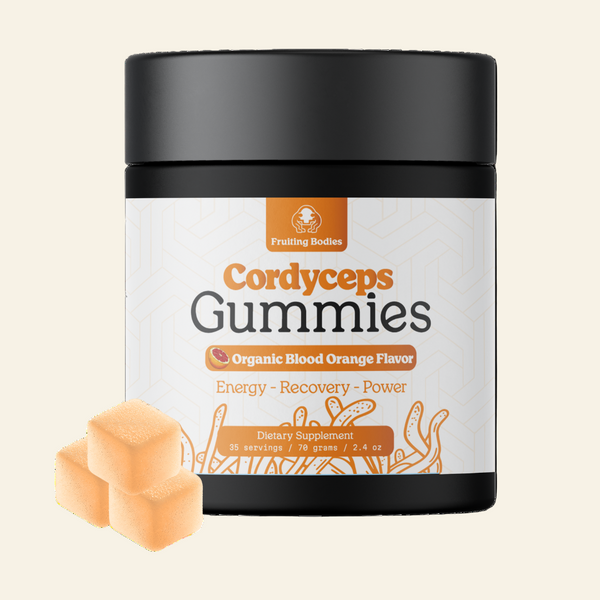 Jar of Cordyceps Gummies with a black lid on a white background