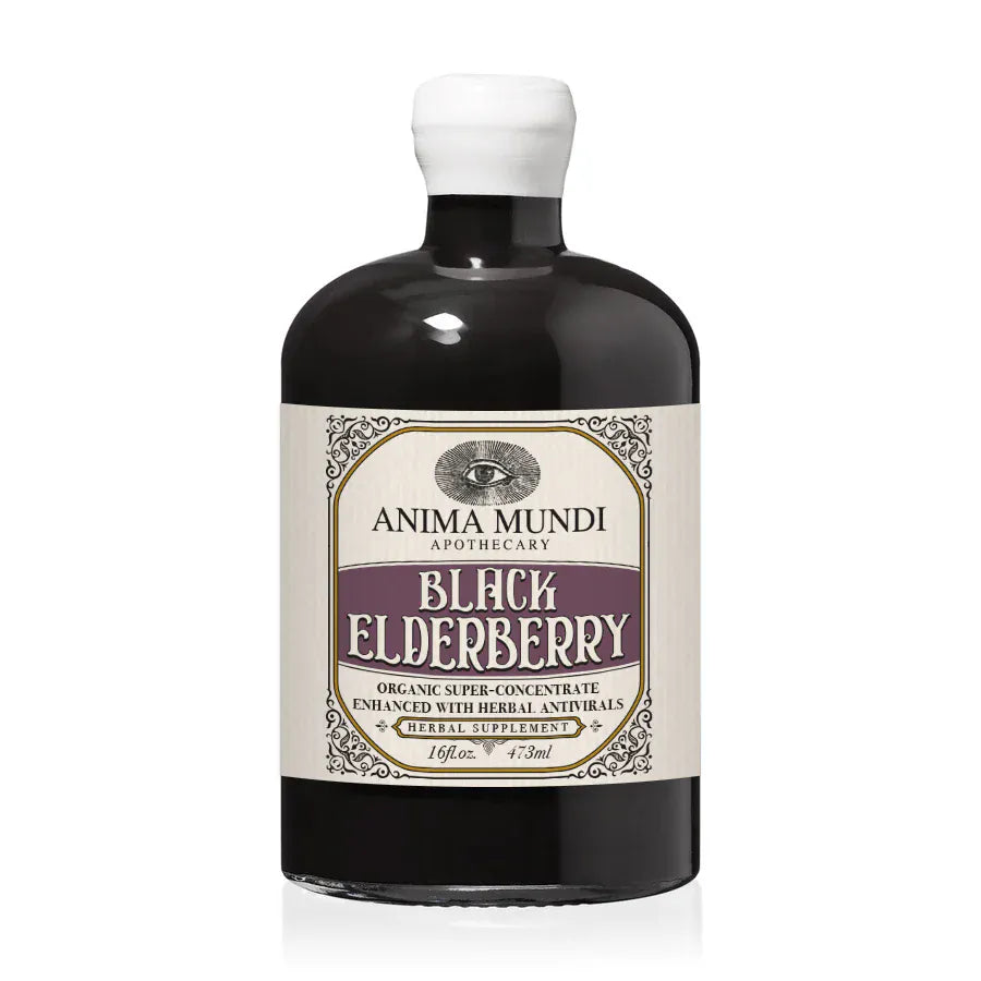 Anima Mundi BLACK ELDERBERRY Elixir | Botanical Mushroom Syrup