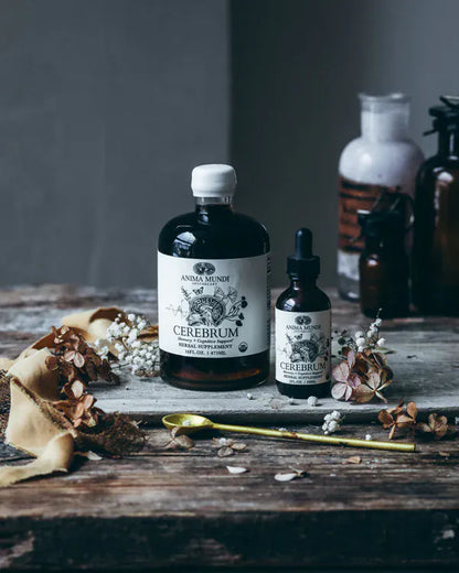 Anima Mundi Herbal supplements CEREBRUM Tonic | Nootropic + Cognitive Support*