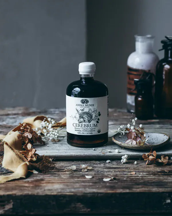 Anima Mundi Herbal supplements CEREBRUM Tonic | Nootropic + Cognitive Support*