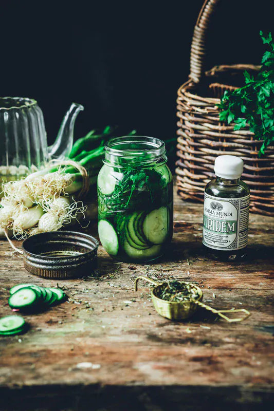 Anima Mundi Herbal supplements VIRIDEM Elixir | Daily Detox Support + Mineralizer*