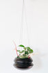 Hanging Planter - My American Goods