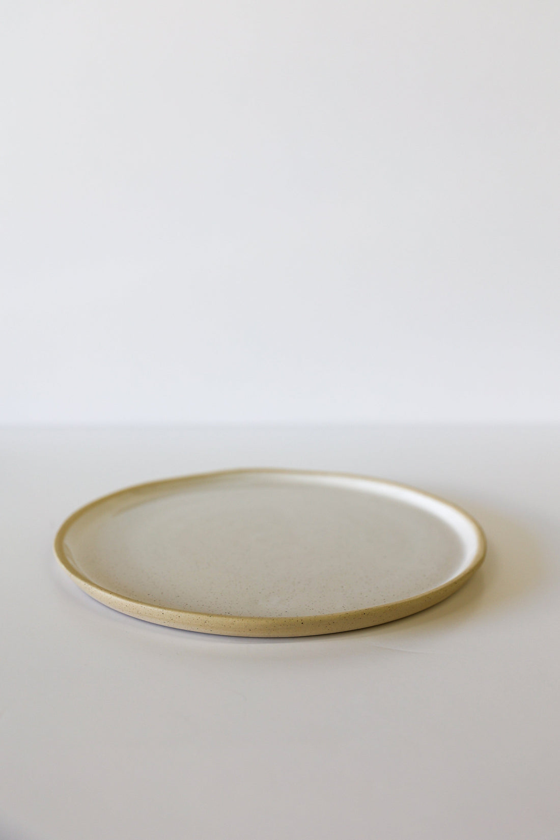 River Dinner Plate | White Speckle (Set of 4)