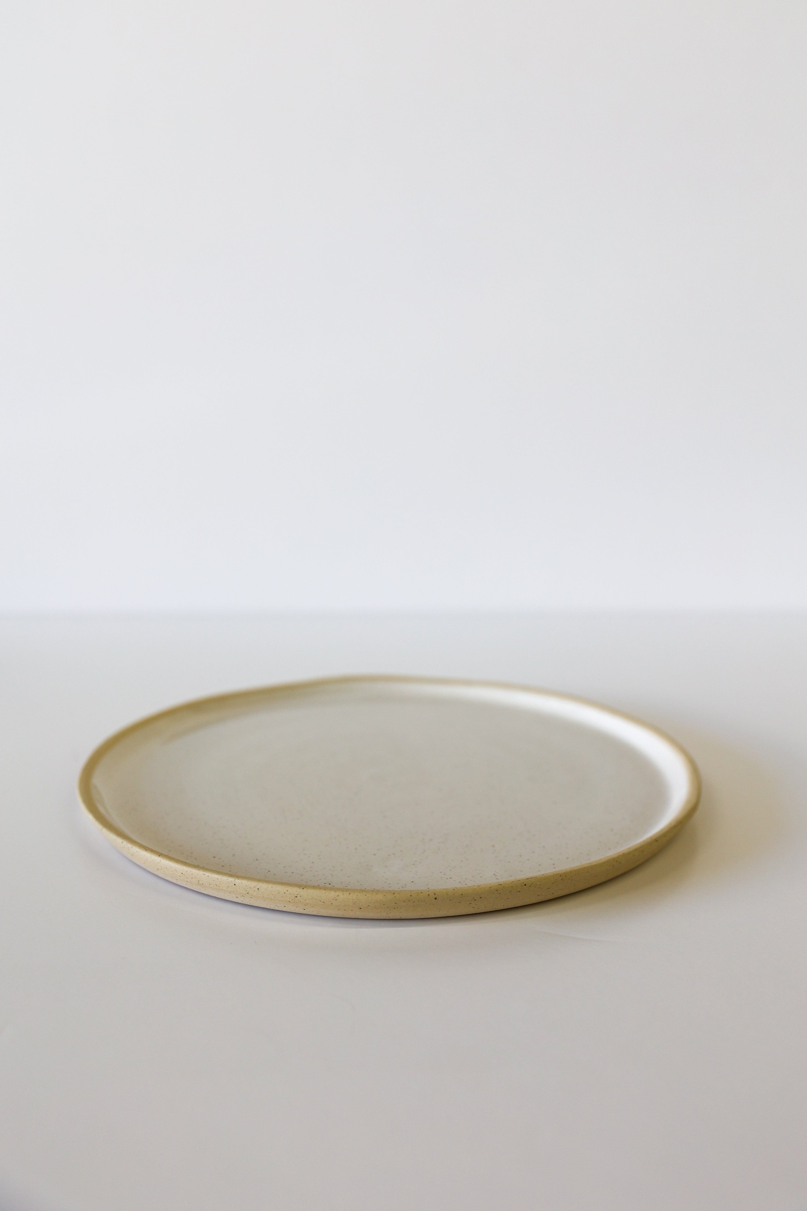 River Dinner Plate | White Speckle (Set of 4)