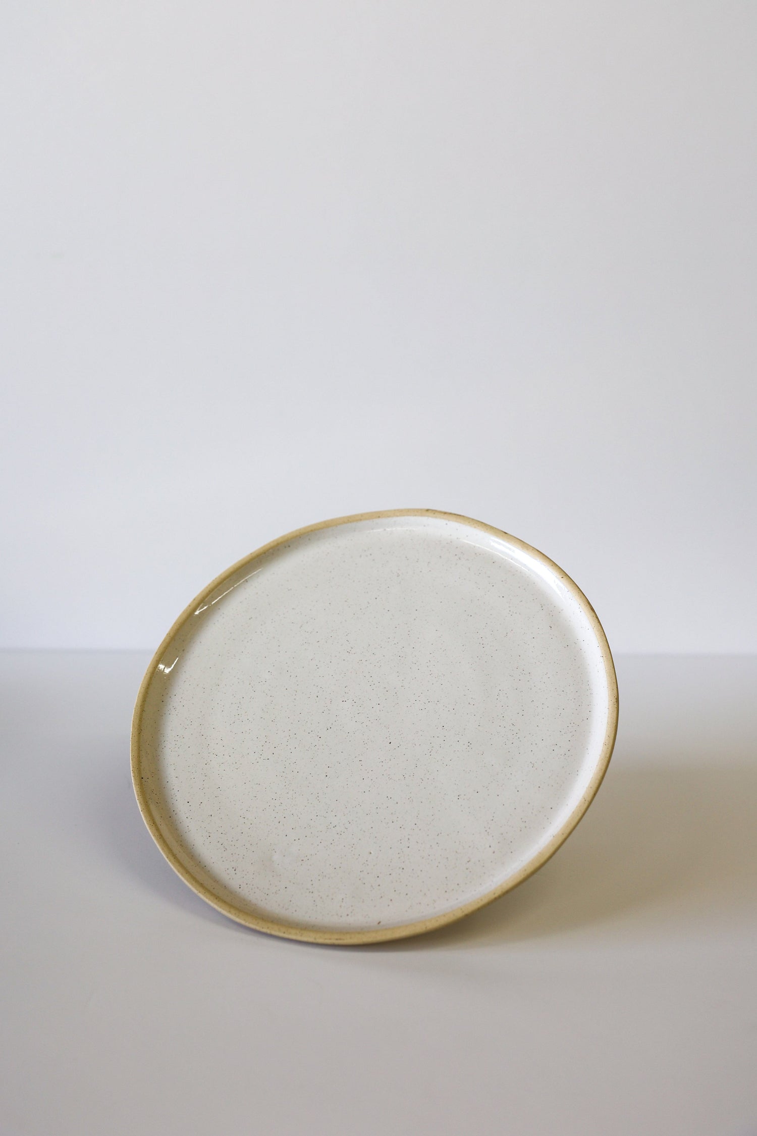 River Dinner Plate | White Speckle (Set of 4)