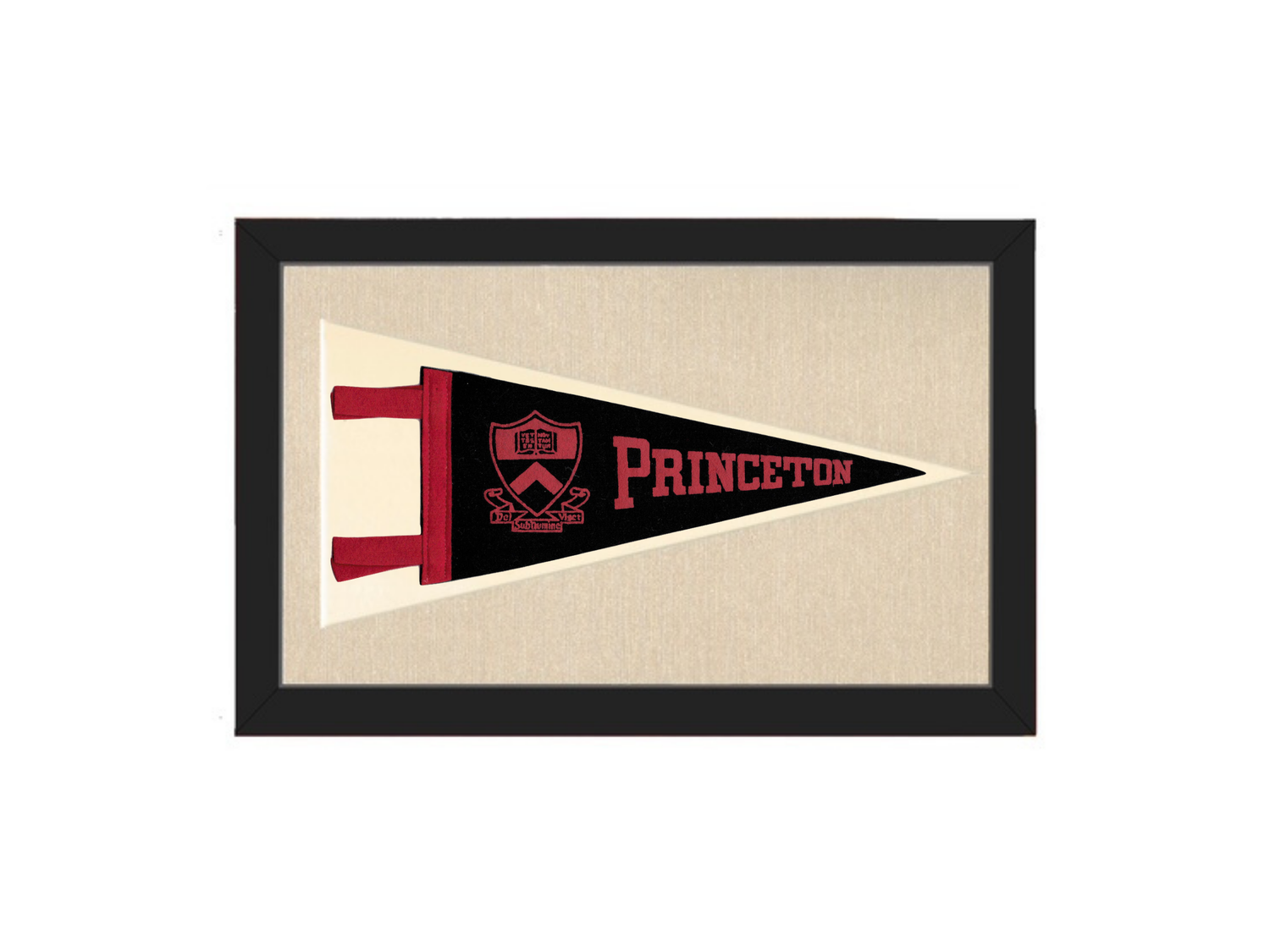 Vintage Princeton University Pennant