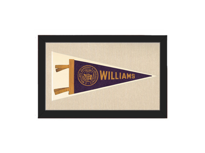 Vintage Williams College Pennant