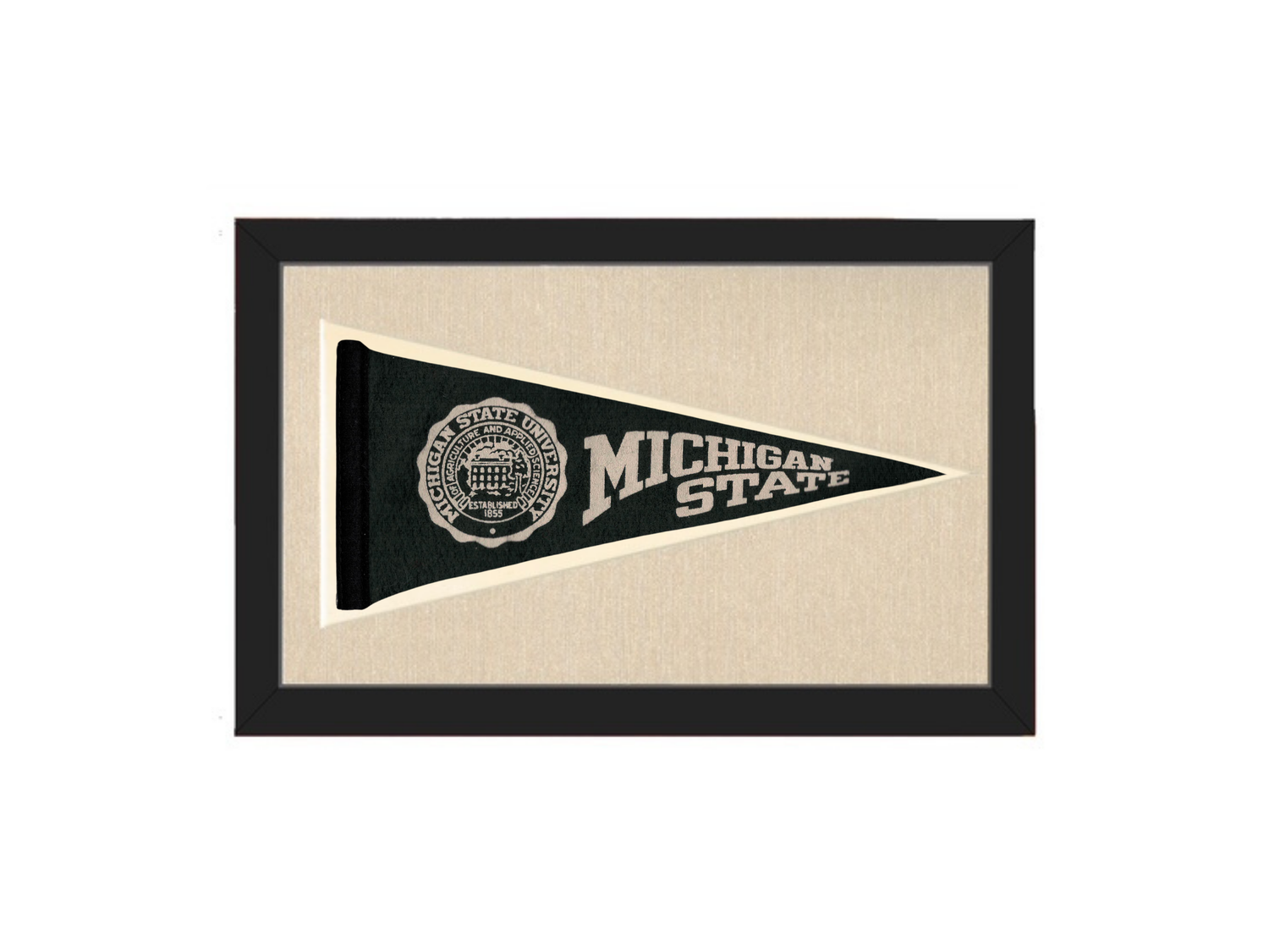 Vintage Michigan State Pennant