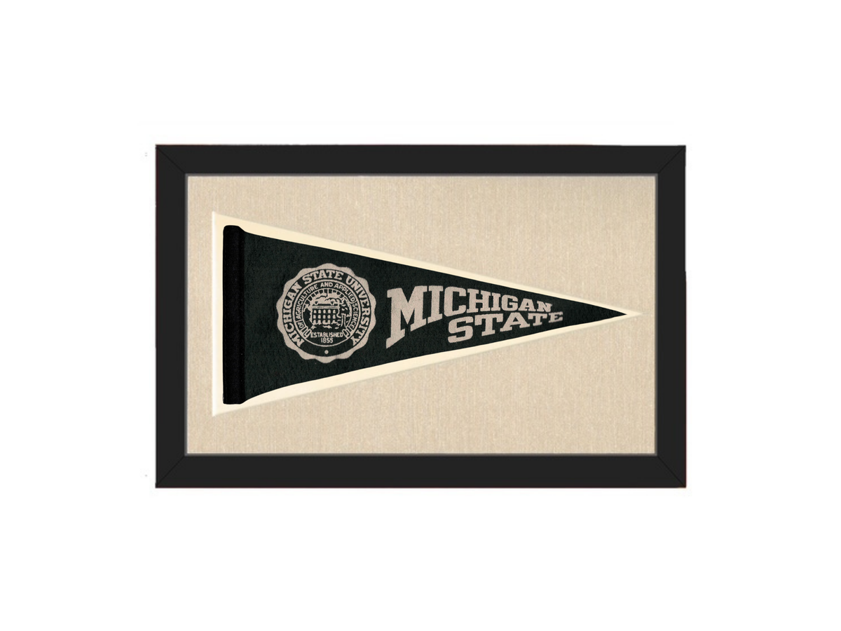 Vintage Michigan State Pennant