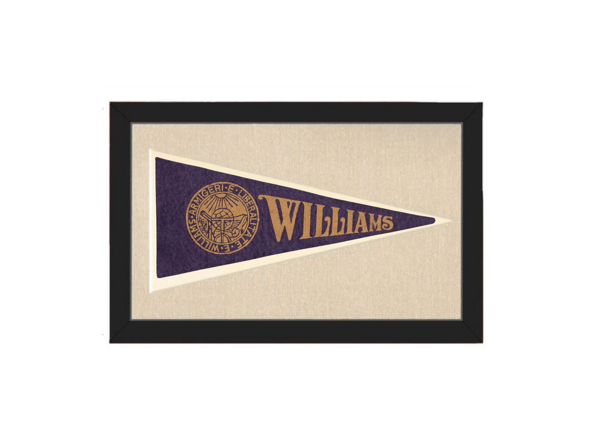 Vintage Williams College Pennant