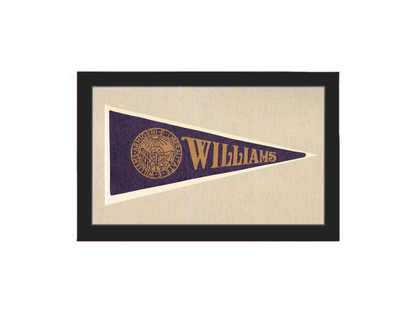 Vintage Williams College Pennant