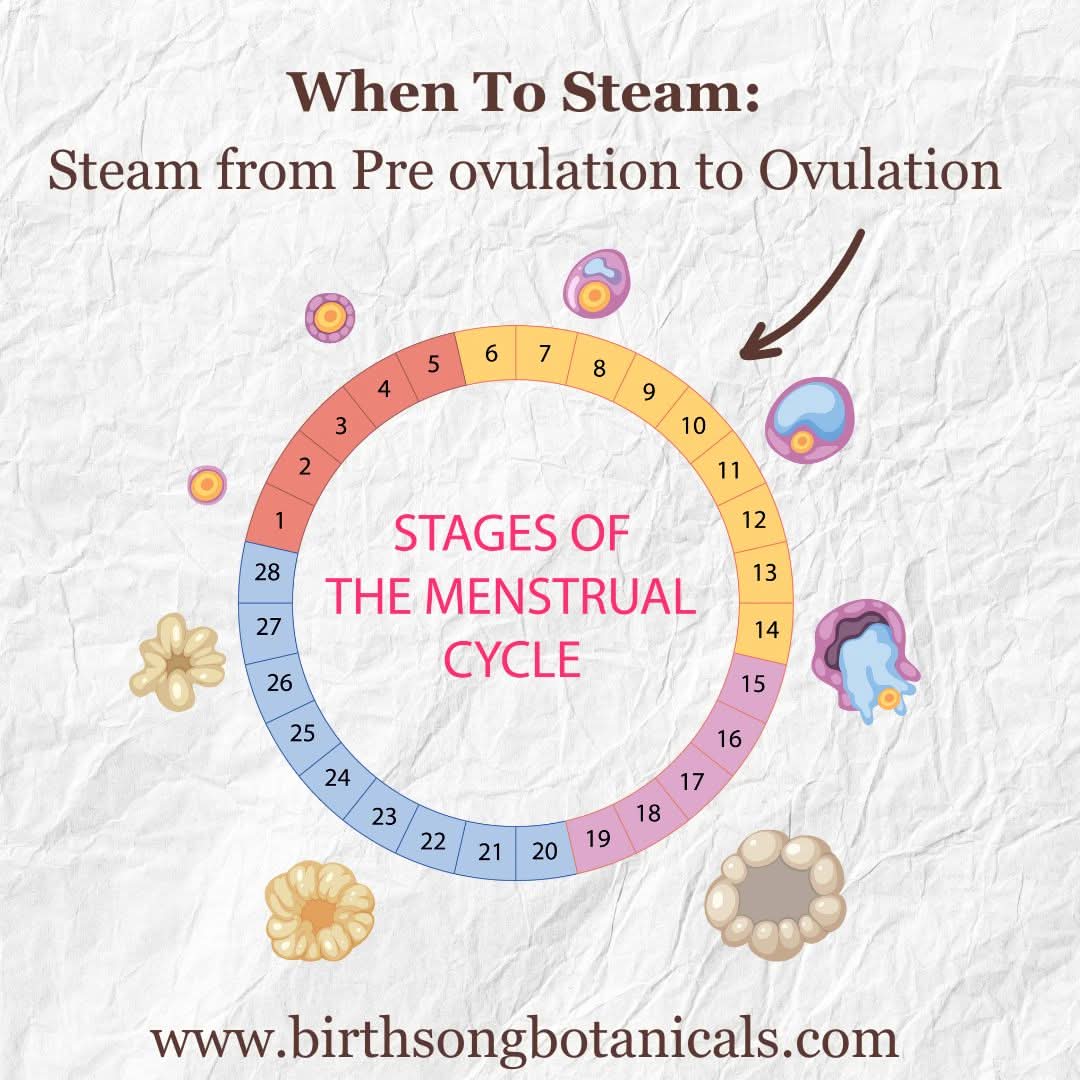Birth Song Botanicals Co. Yoni steam Yoni Steam for Fertility* Organic Herbal Vaginal Steaming Blend to Support Fertility and Womb Health, V Steam Herb, Vaginal and Uterine Care 3 oz.