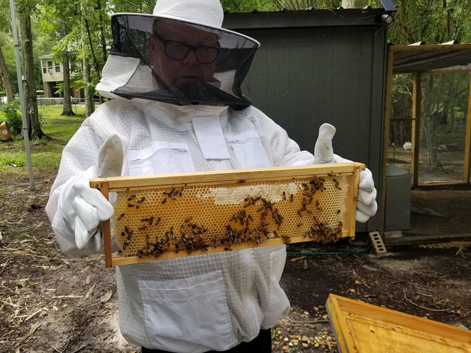 1lb Wild Flower Raw Honey image 10