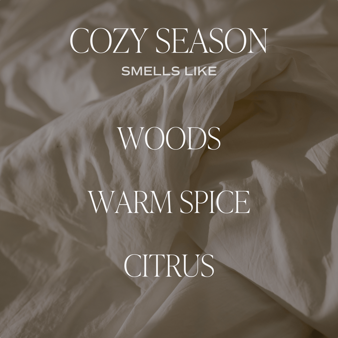 Cozy Season Soy Candle - Tinted Glass Jar - 12 oz - My American Goods