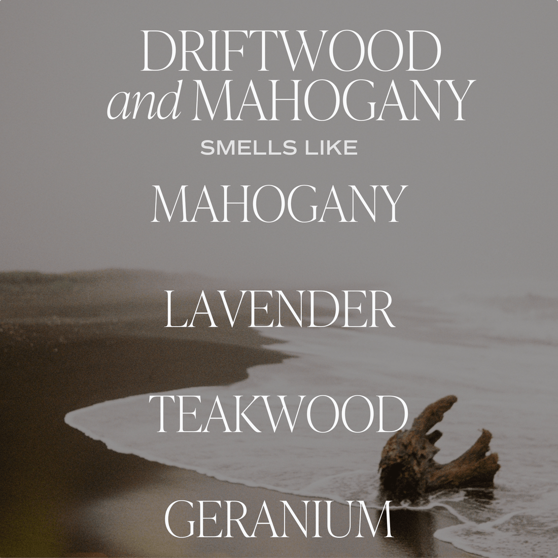 Driftwood and Mahogany Soy Candle - Clear Jar - 9 oz - My American Goods