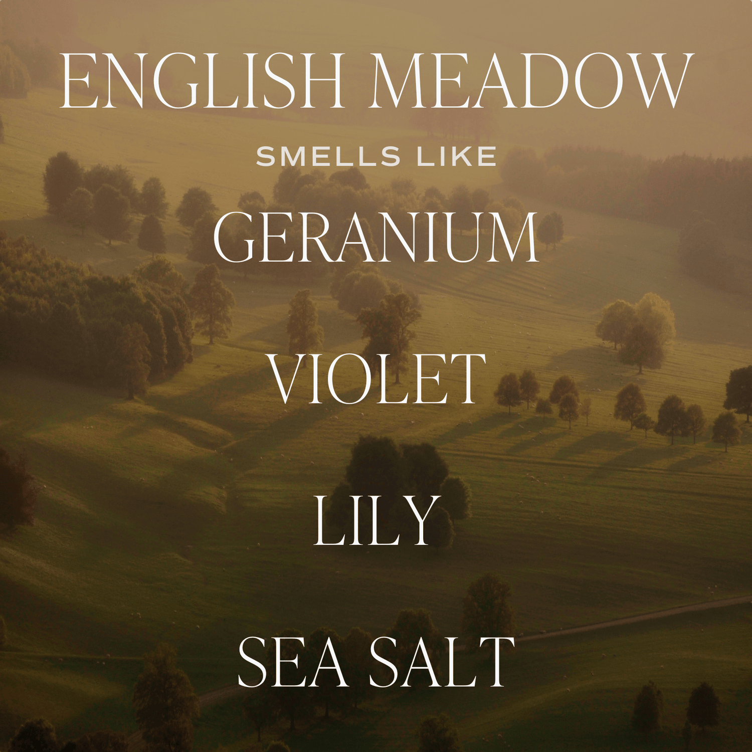 English Meadow Soy Candle - Green Matte Jar - 15 oz (Wildflowers and Salt) - My American Goods