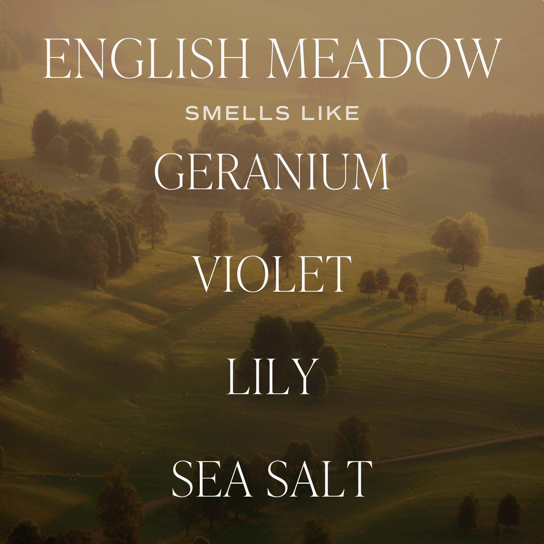 English Meadow Soy Candle - Green Matte Jar - 15 oz (Wildflowers and Salt) - My American Goods