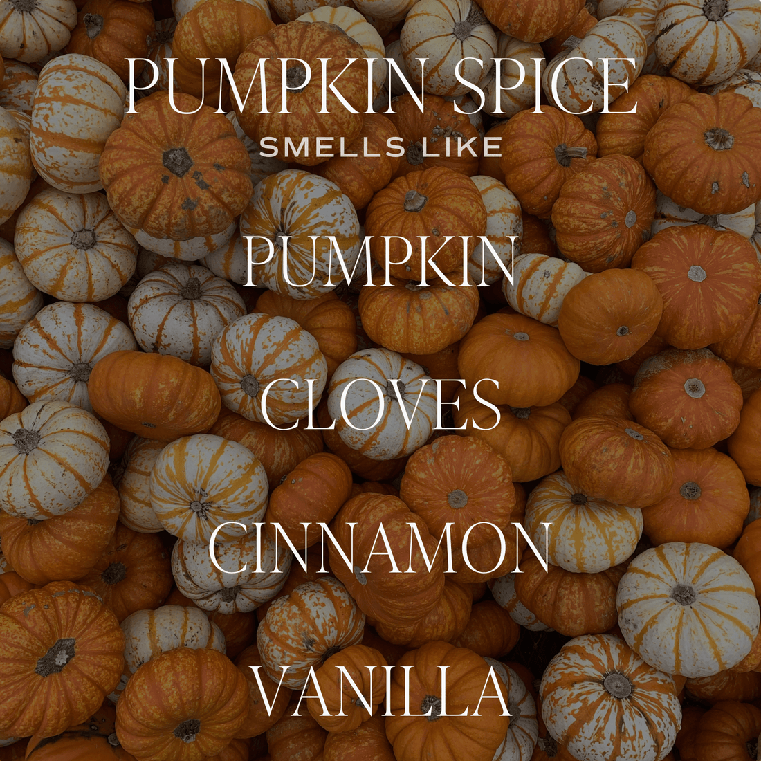 Pumpkin Spice Soy Candle - Tinted Glass Jar - 12 oz