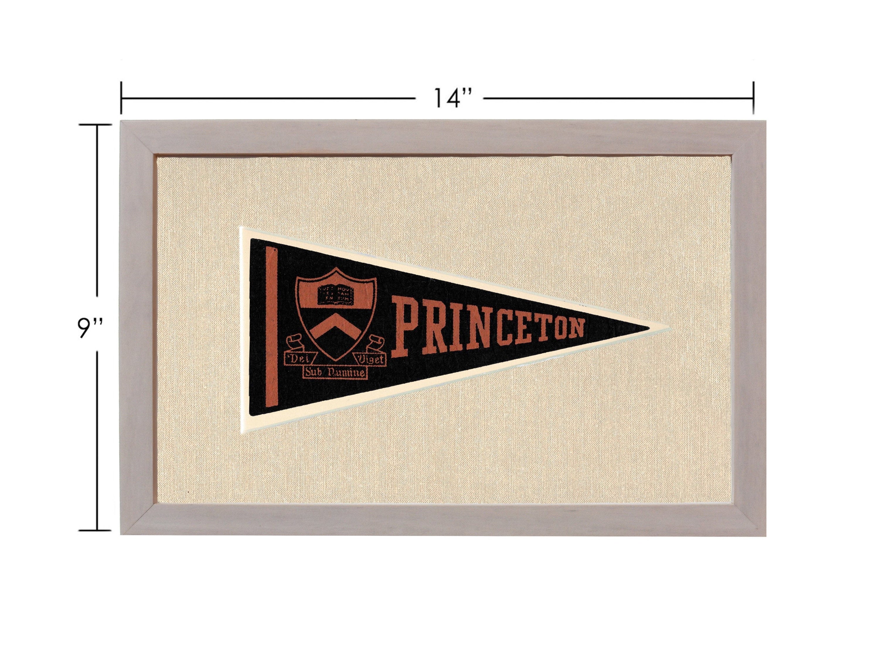 Americana Memories Vintage Pennants and Memorabilia Vintage Princeton Pennant