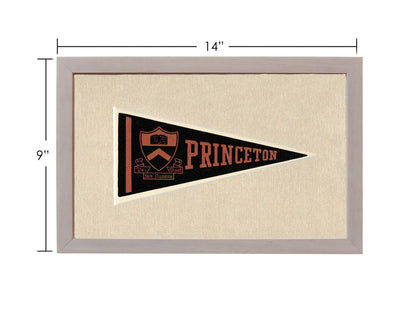 Vintage Princeton Pennant