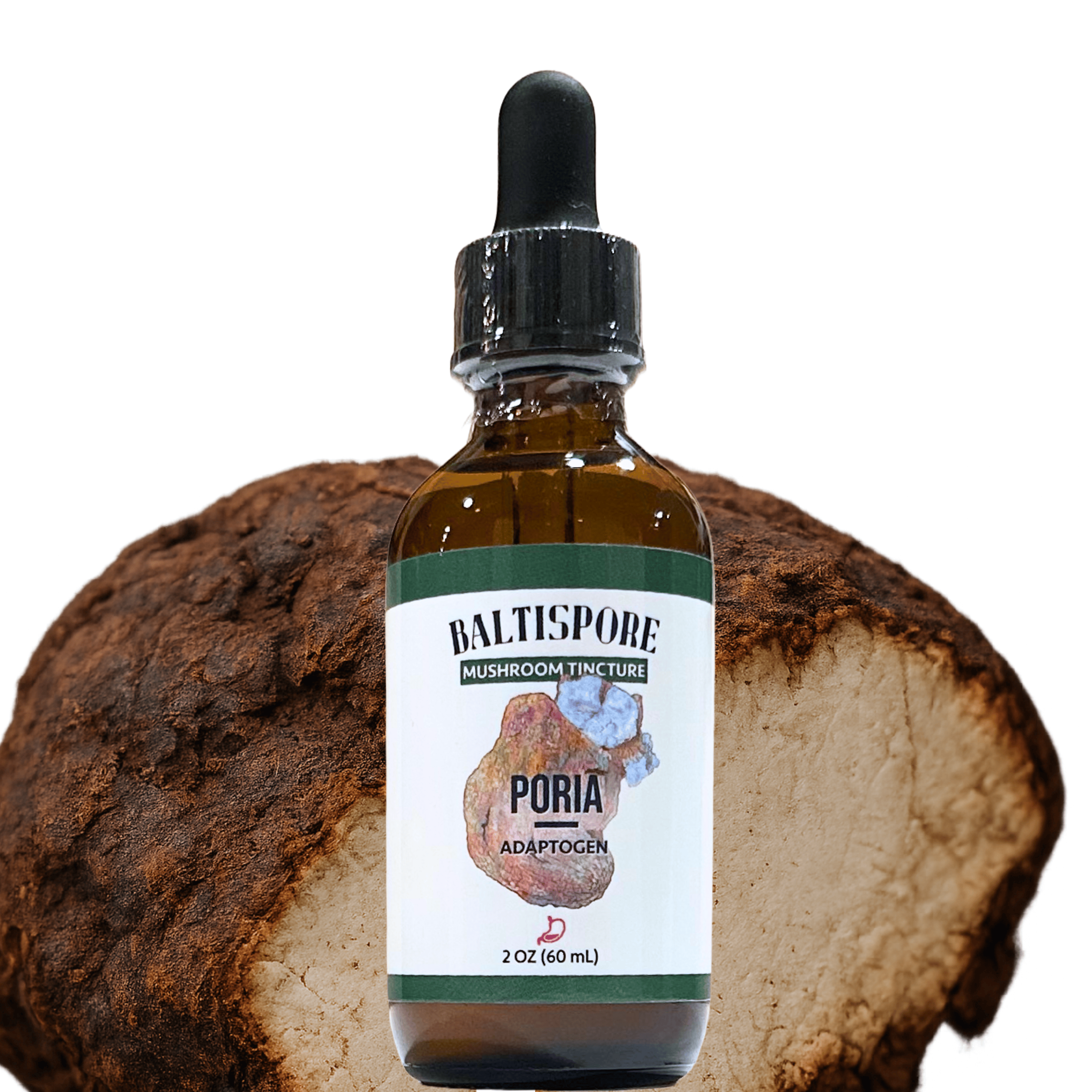 BaltiSpore Tincture Poria Mushroom Tincture