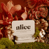 alice mushrooms Brainstorm Functional Mushroom Chocolates