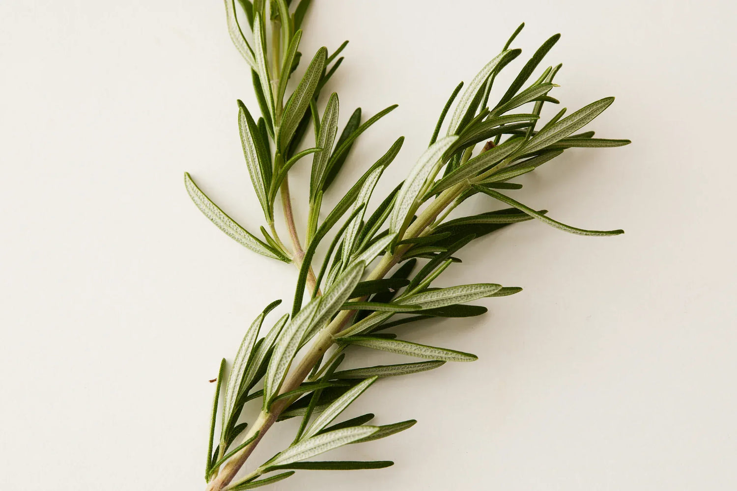 Luna Clear Conditioner