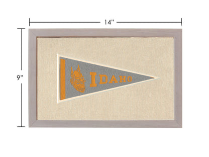 Americana Memories Vintage Pennants and Memorabilia Vintage University of Idaho Pennant