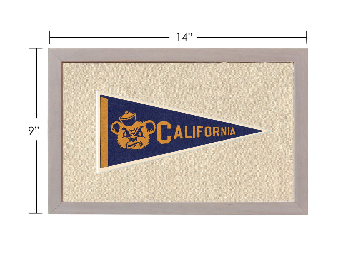 Americana Memories Vintage Pennants and Memorabilia Vintage University of California Pennant
