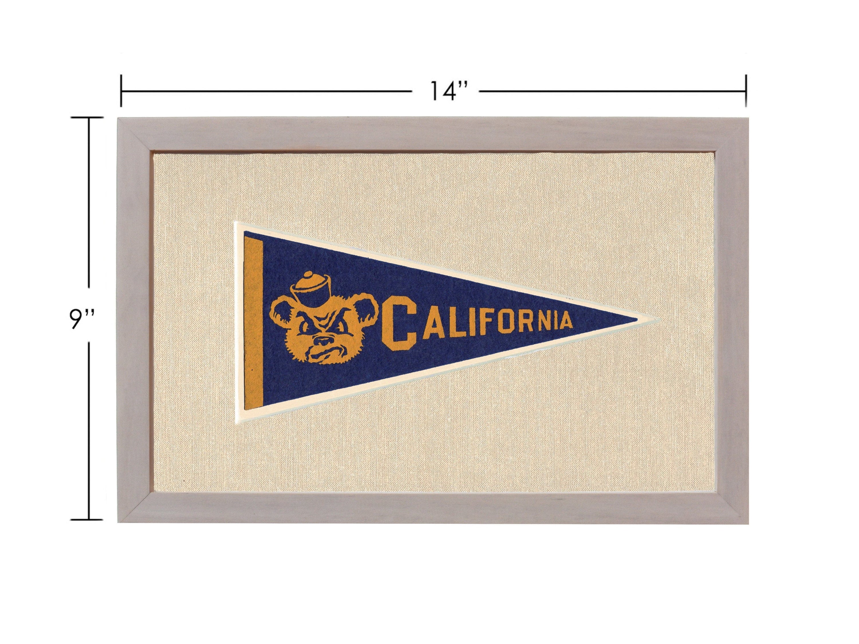 Americana Memories Vintage Pennants and Memorabilia Vintage University of California Pennant