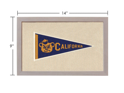 Americana Memories Vintage Pennants and Memorabilia Vintage University of California Pennant