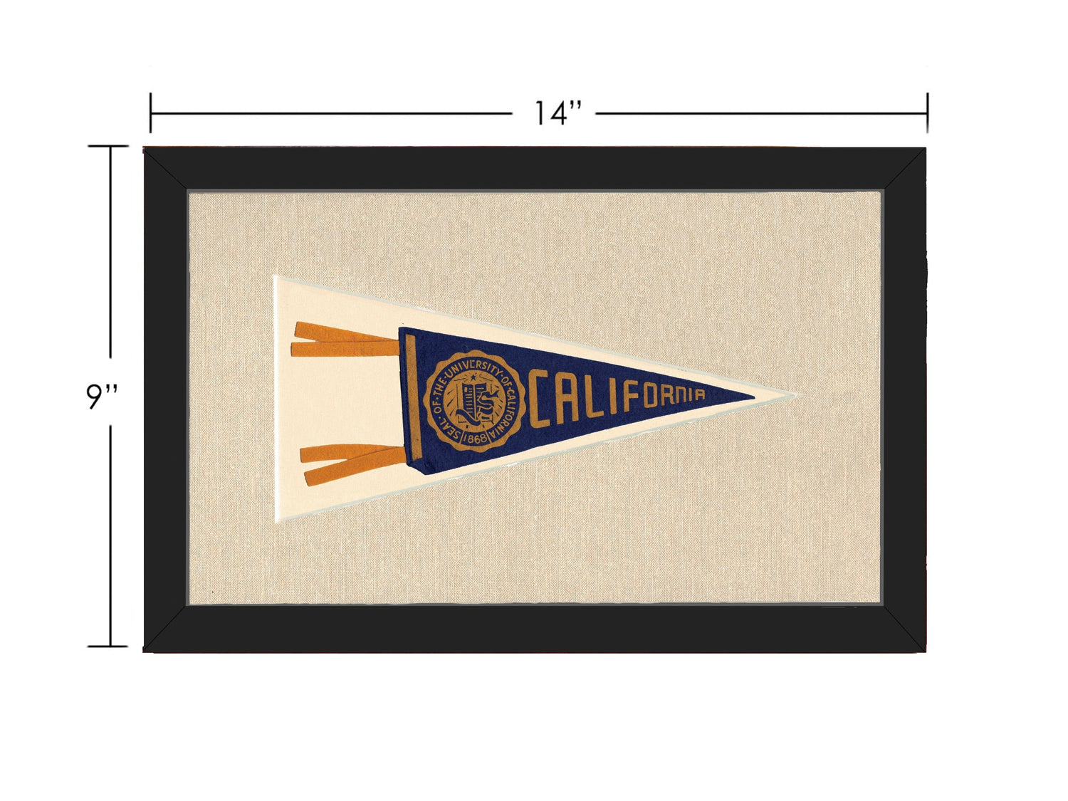 Vintage University of California Pennant