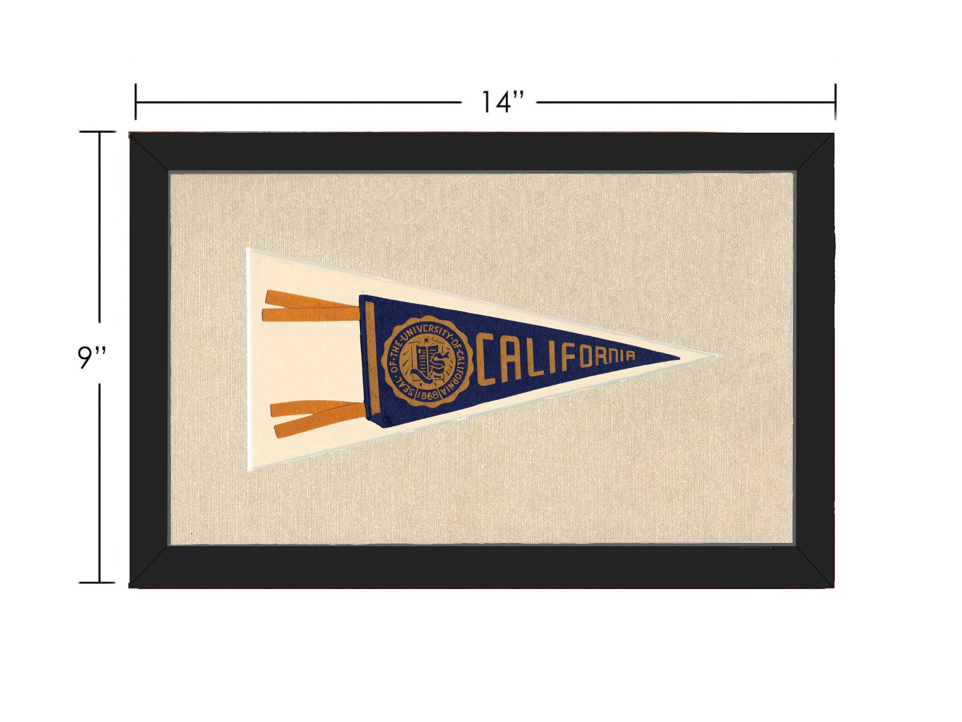 Vintage University of California Pennant