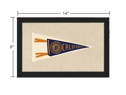 Vintage University of California Pennant