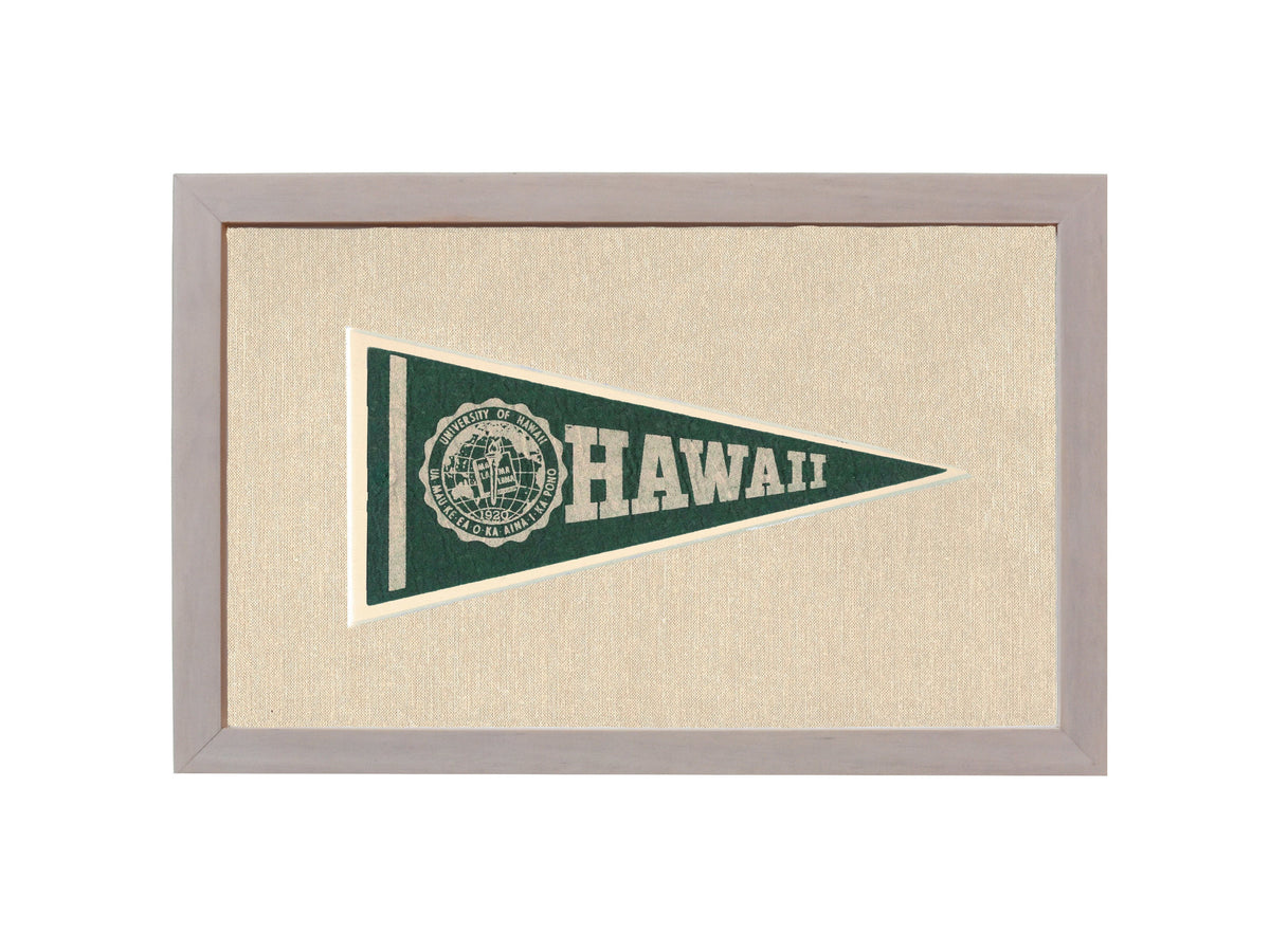 Vintage University of Hawaii Pennant