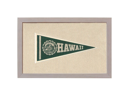 Vintage University of Hawaii Pennant
