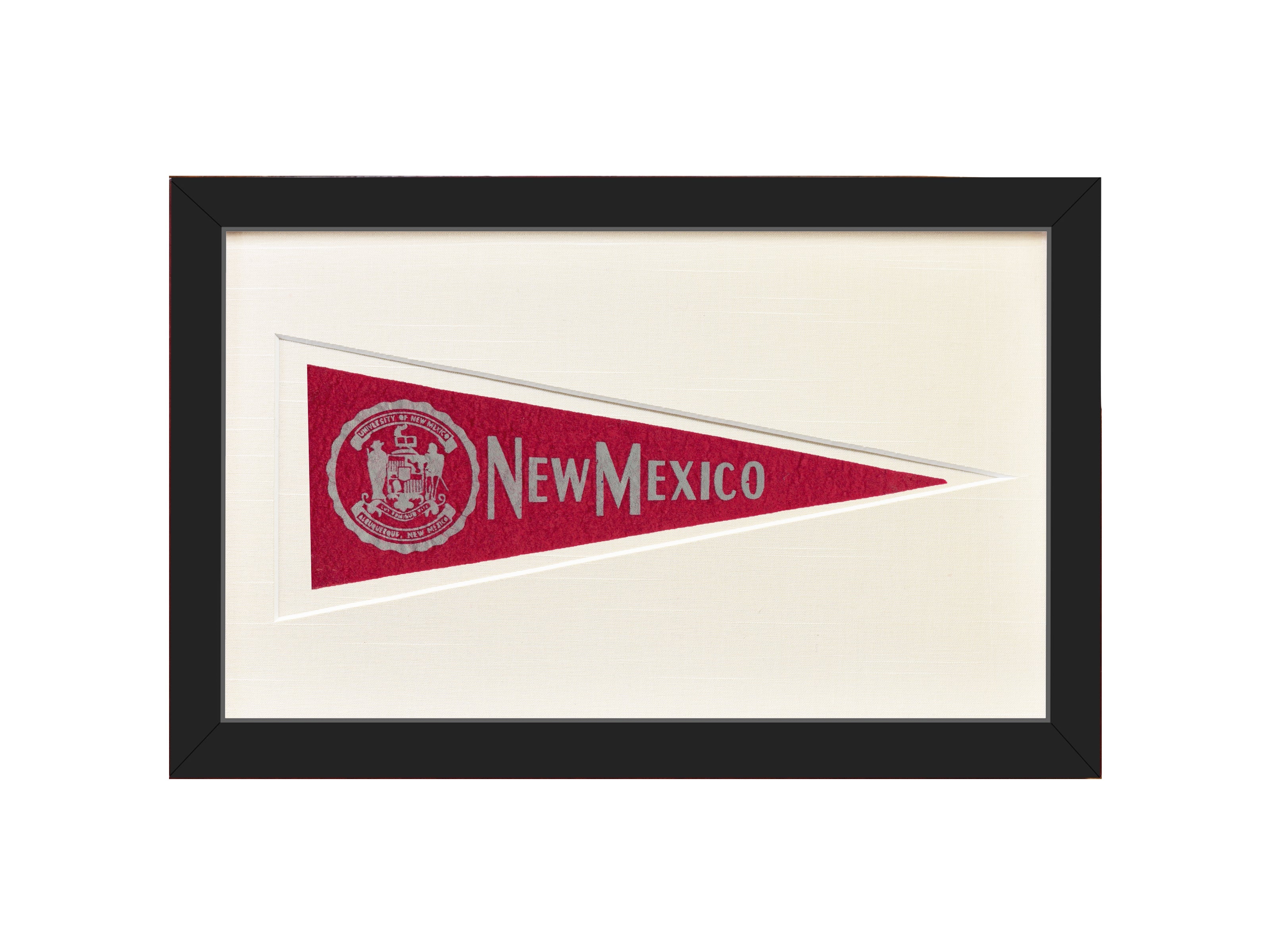 Vintage University of New Mexico Hormel Pennant