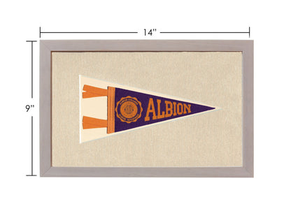 Vintage Albion College Pennant