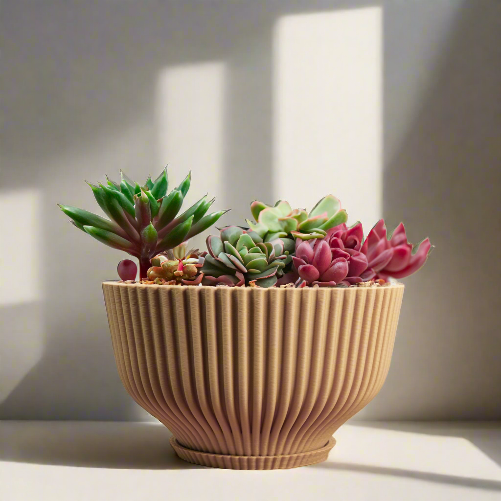 Bonsai Pot with Drainage &amp; Tray - My American Goods