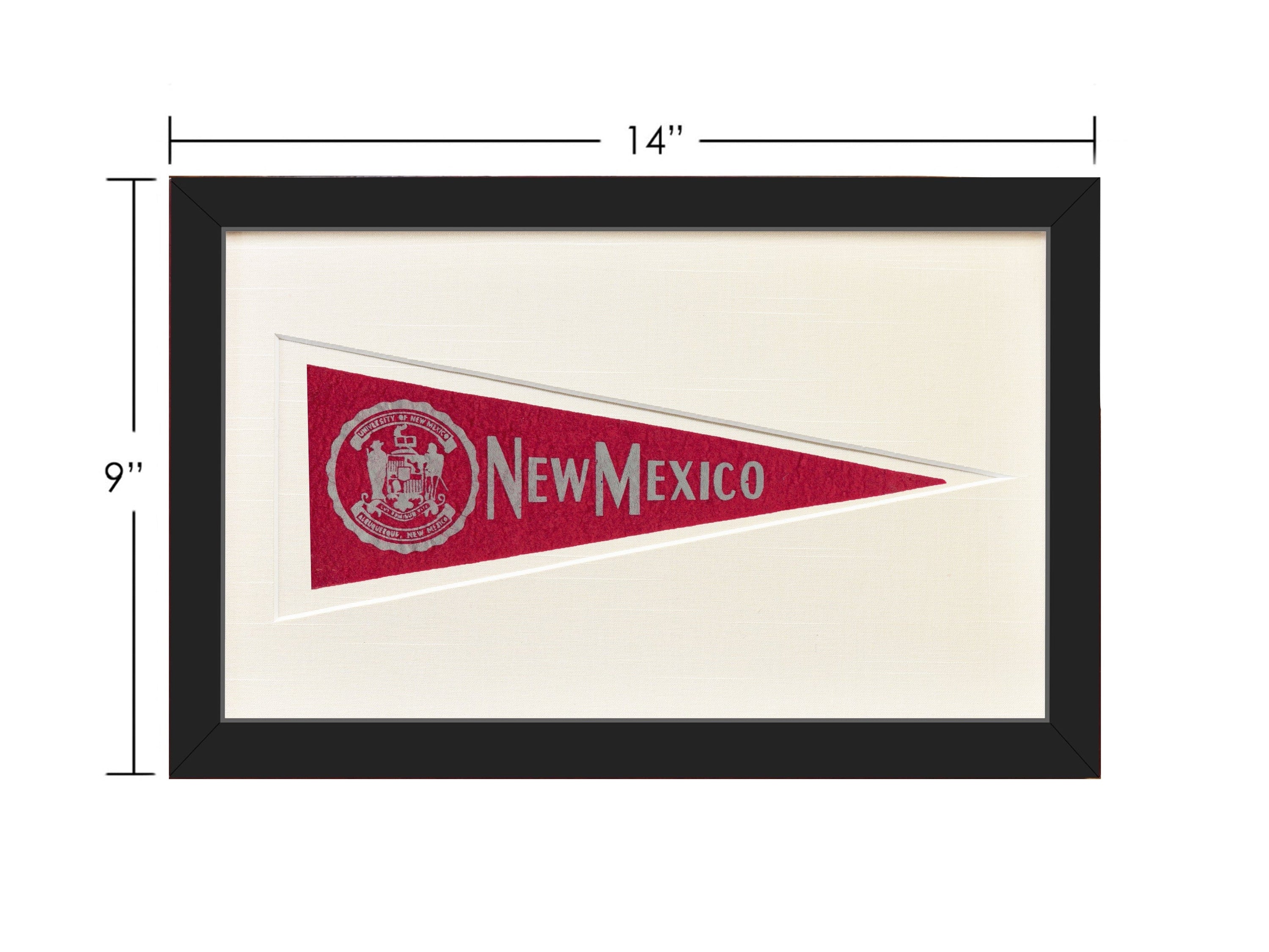 Americana Memories Vintage University of New Mexico Hormel Pennant